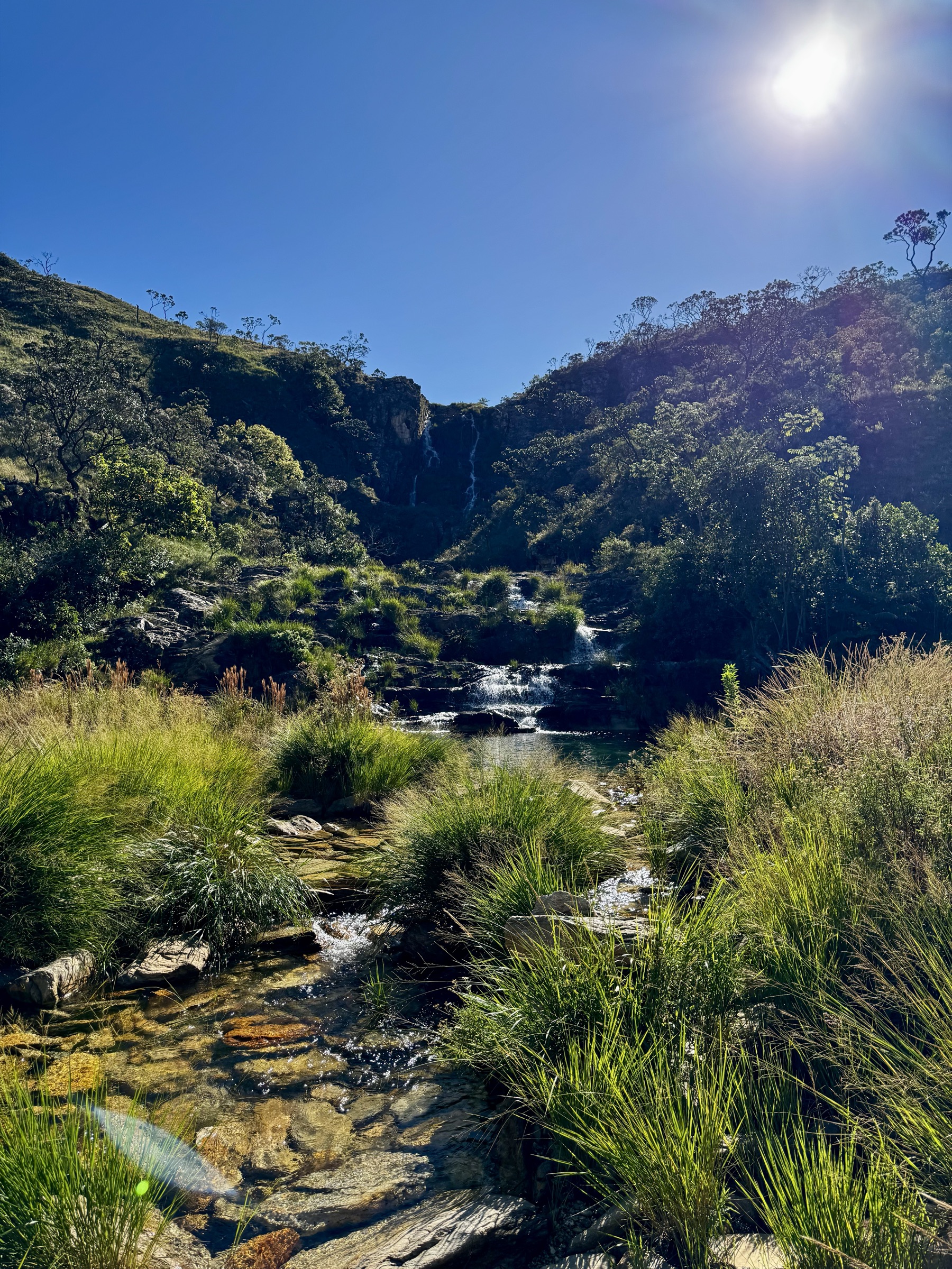 Cachoeira ao sol, coberta por mata nativa